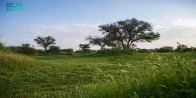 Al Urumah Season Attracts More Eco-Tourists, Boosting Sustainable Travel